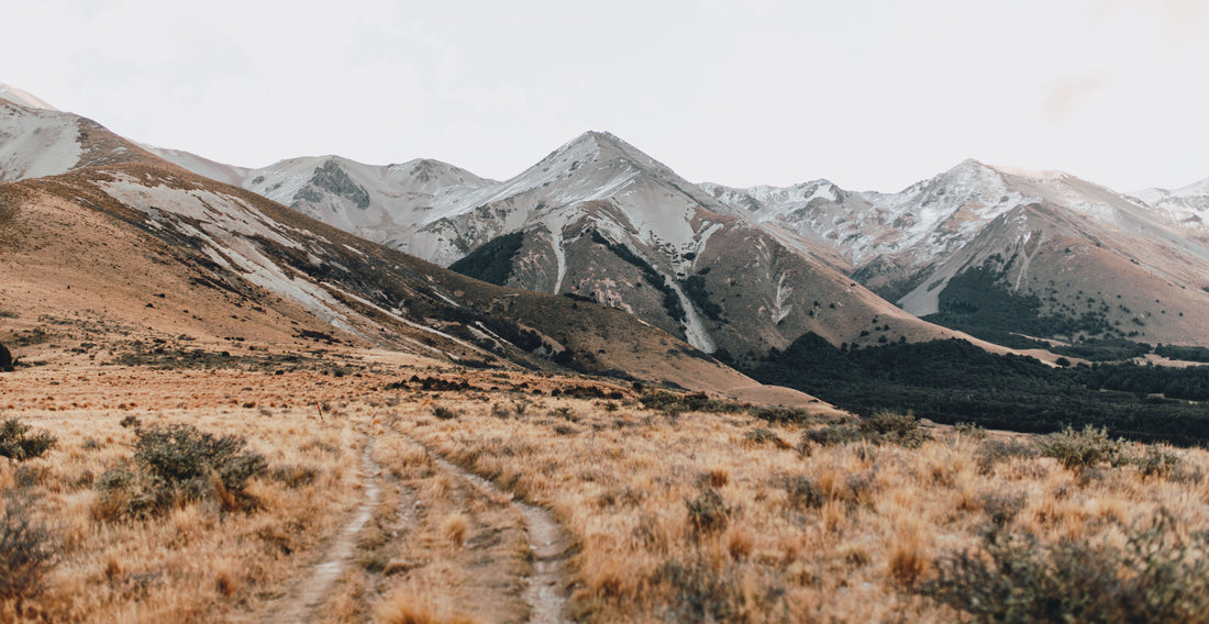 Common Goods Mountains
