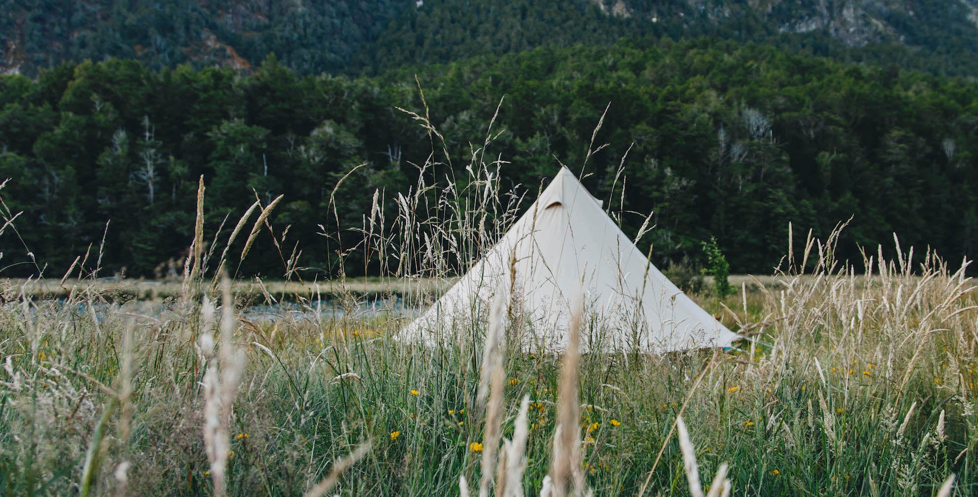 Totara flat campsite