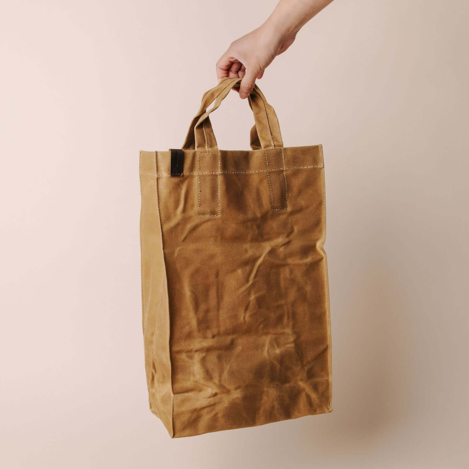 Common Goods Waxed Canvas Market Bag